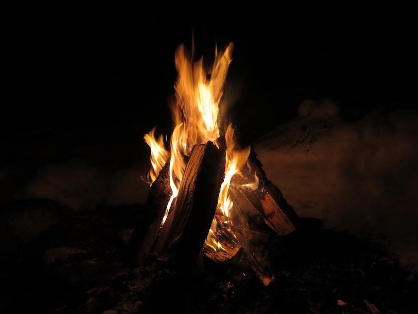 Campfire Woods - Fire